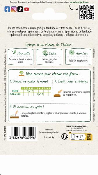 Fleurs - Houblon Grimpant - MEDIA_PACKAGING_VERSO